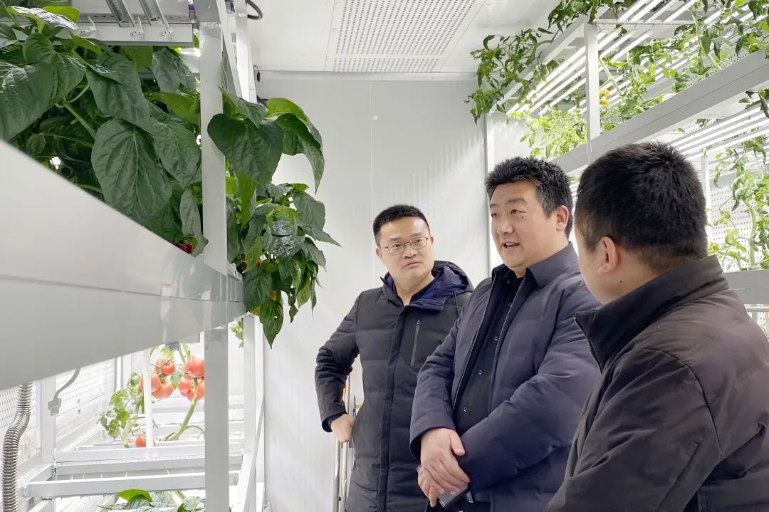 Leaders of the Henan Provincial Department of Agriculture and Rural Affairs visited Sinoufarm