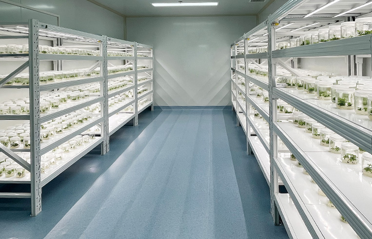 CB Plant Tissue Culture Laboratory