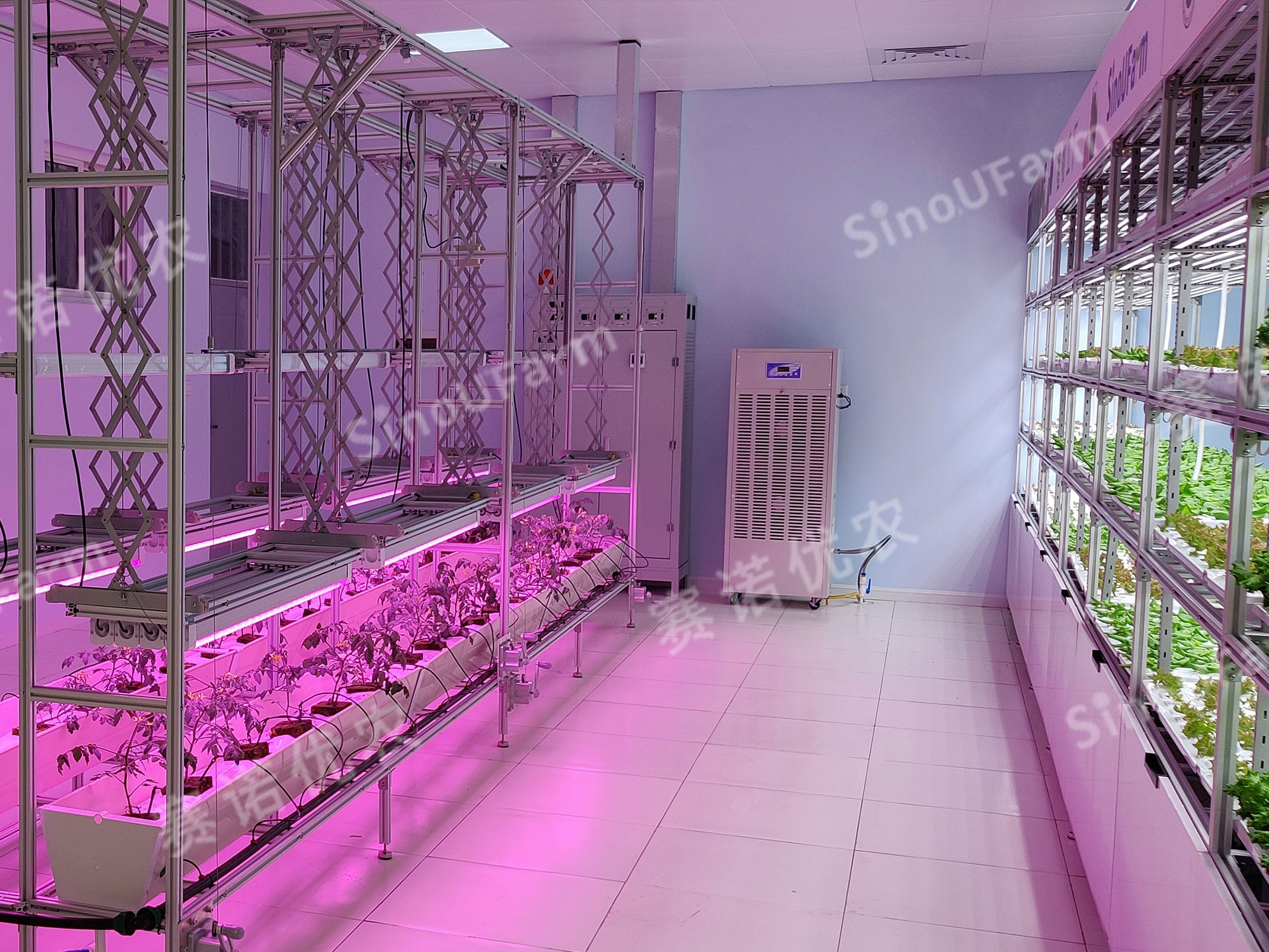 PF Customized Plant/Vegetable Factory