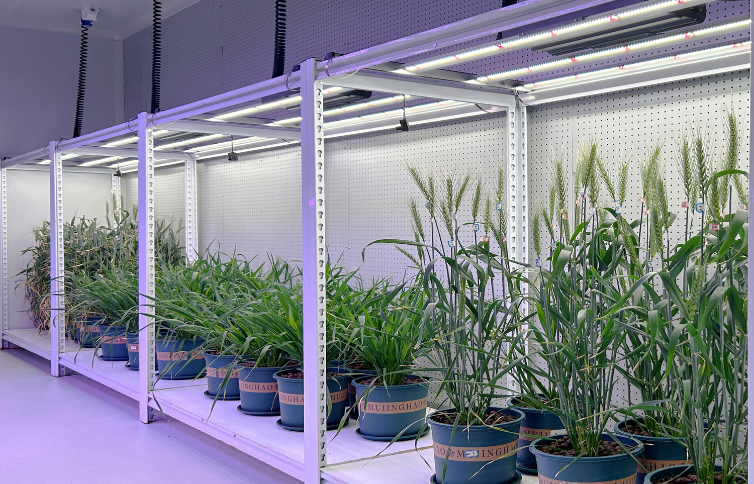 AC Intelligent Artificial Climate Chamber