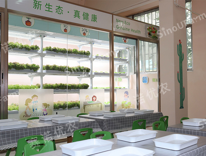 UC Indoor Planting Beneficial Education Classroom
