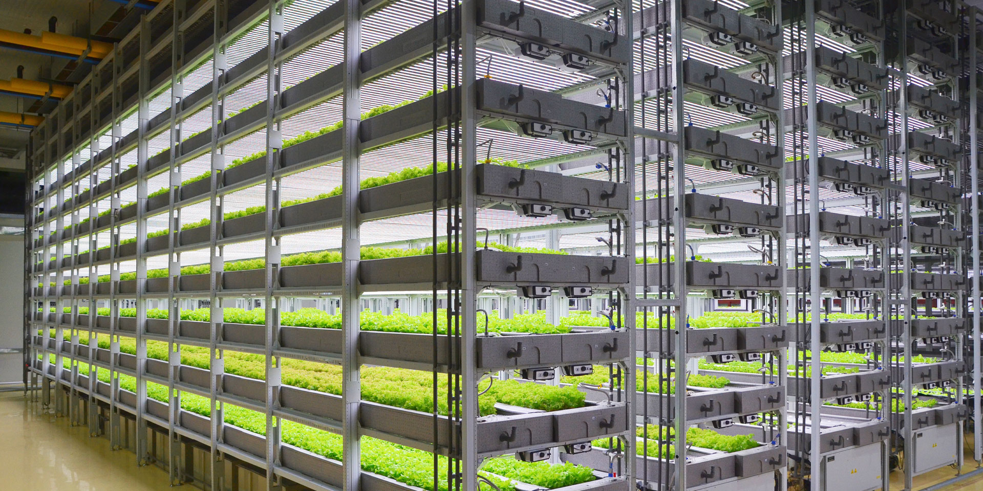 Smart Planting Smart Planting