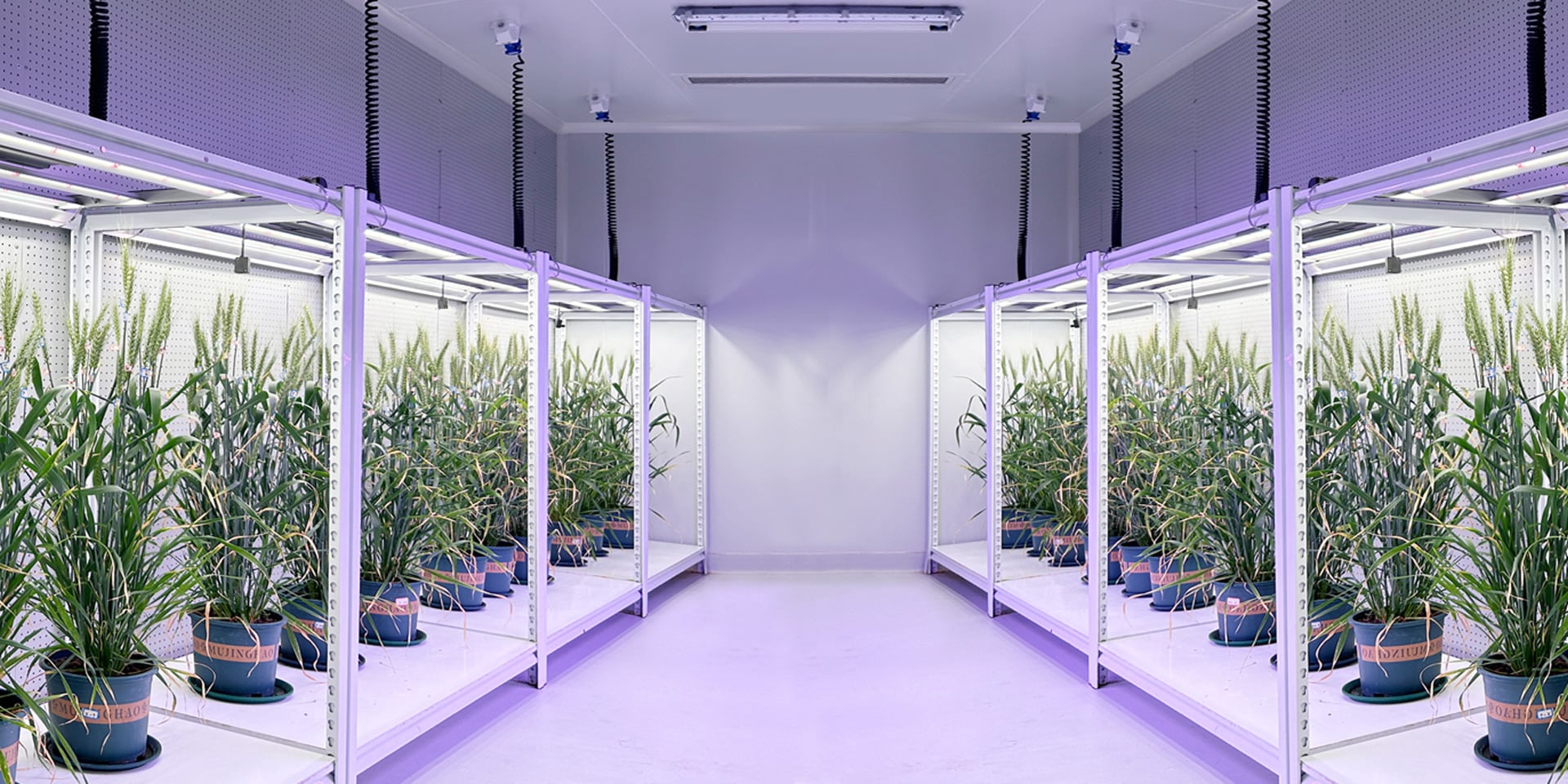 Scientific Research Breeding Scientific Research Breeding