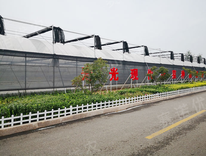 Shouguang Agriculture Development Co.,LTD.
Grafting Healing Chamber/Seedling Room