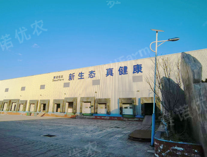 Sinoufarm
Wholly Artificial Environment Vegetable Factory