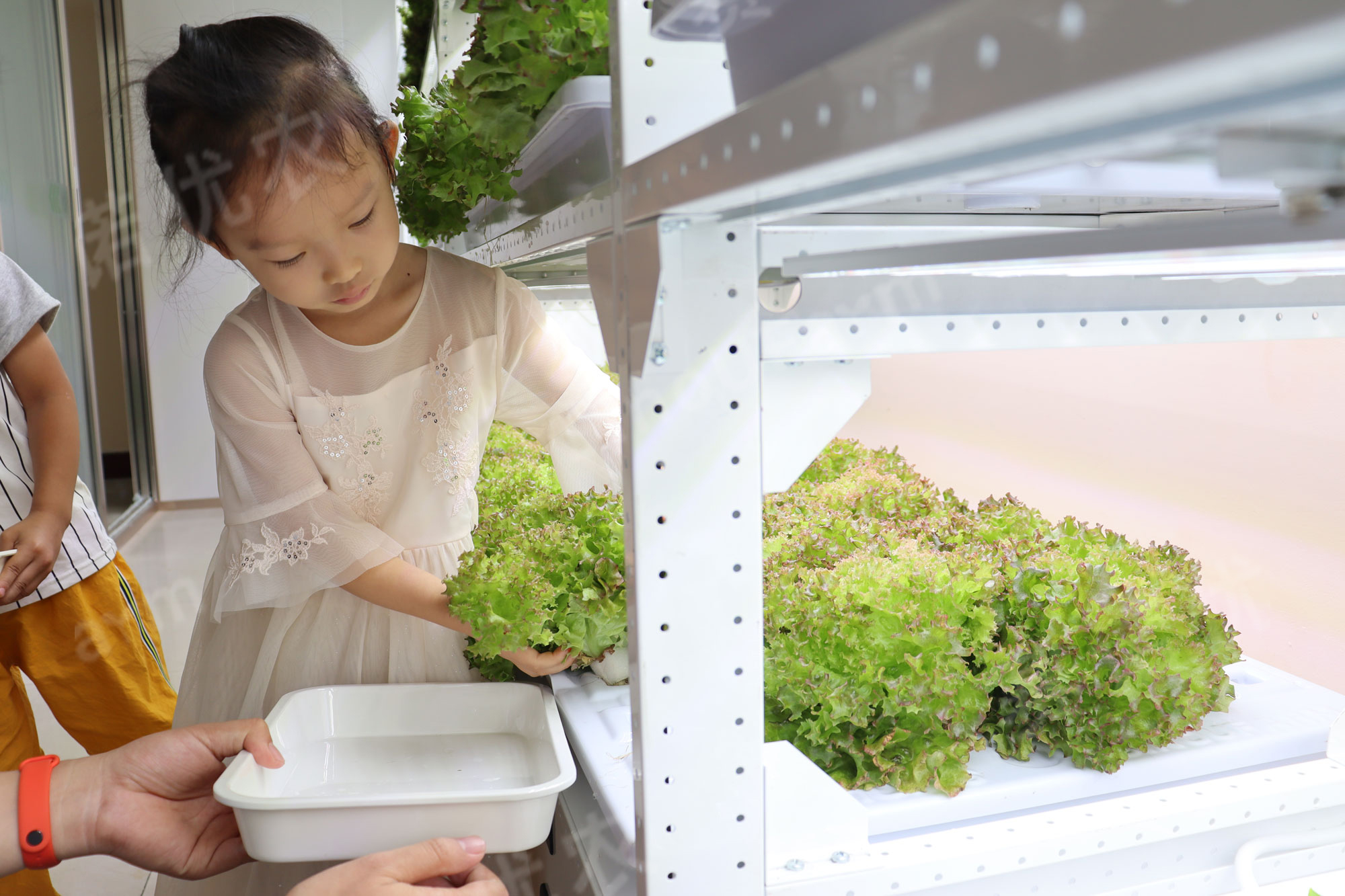 Yellow River Conservancy Commission Kindergarten
Planting Beneficial Education Classroom