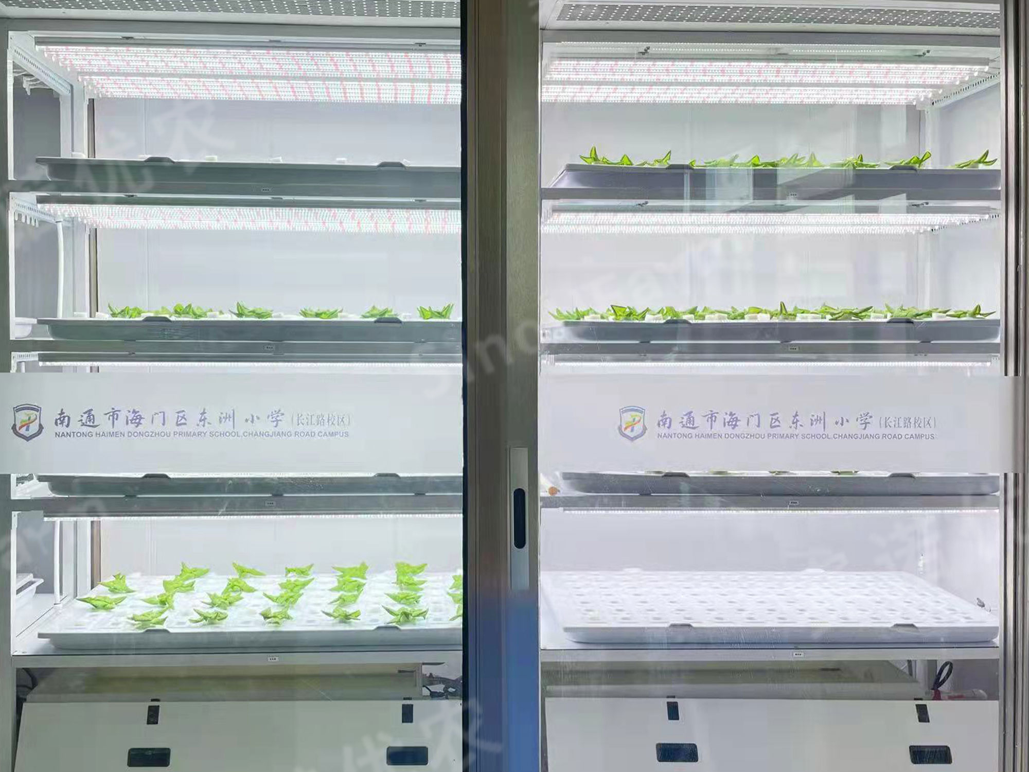 A elementary School in Nantong
Planting Beneficial Education Classroom