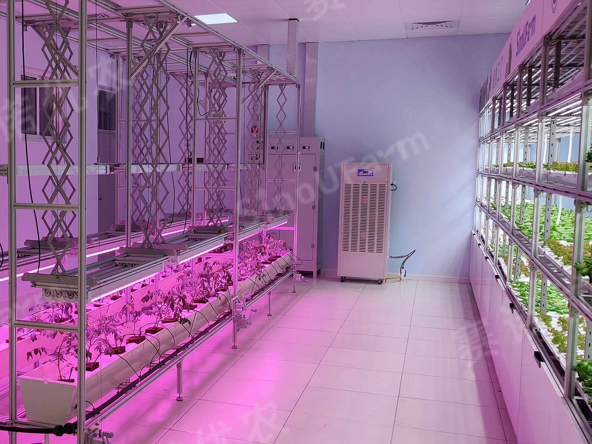 Ningxia Agricultural School 
Wholly Artificial Environment Plant Factory