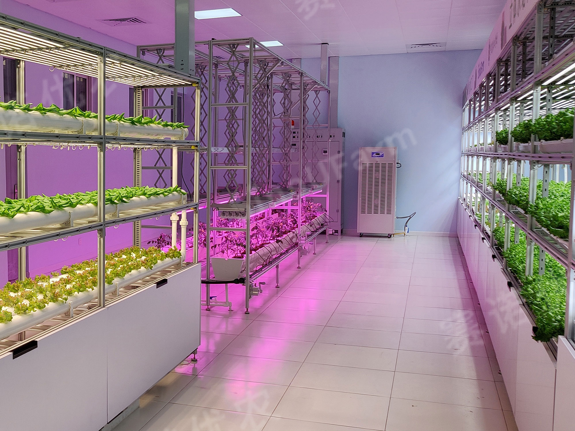 Ningxia Agricultural School 
Wholly Artificial Environment Plant Factory