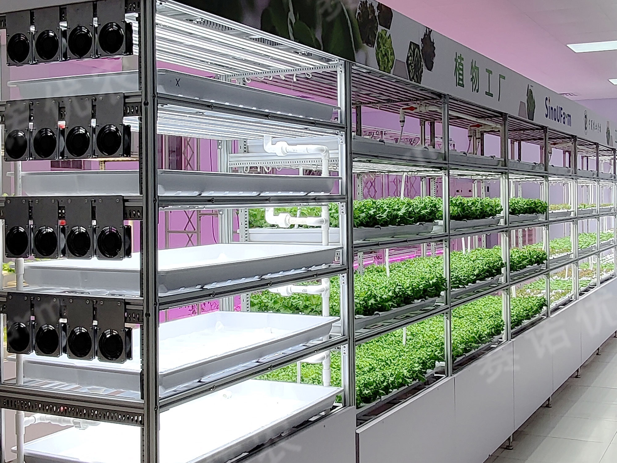 Ningxia Agricultural School 
Wholly Artificial Environment Plant Factory