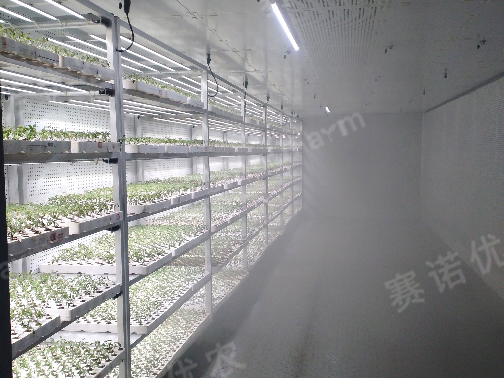 Triumph Haofeng
Germination Chamber/Grafting Healing Chamber