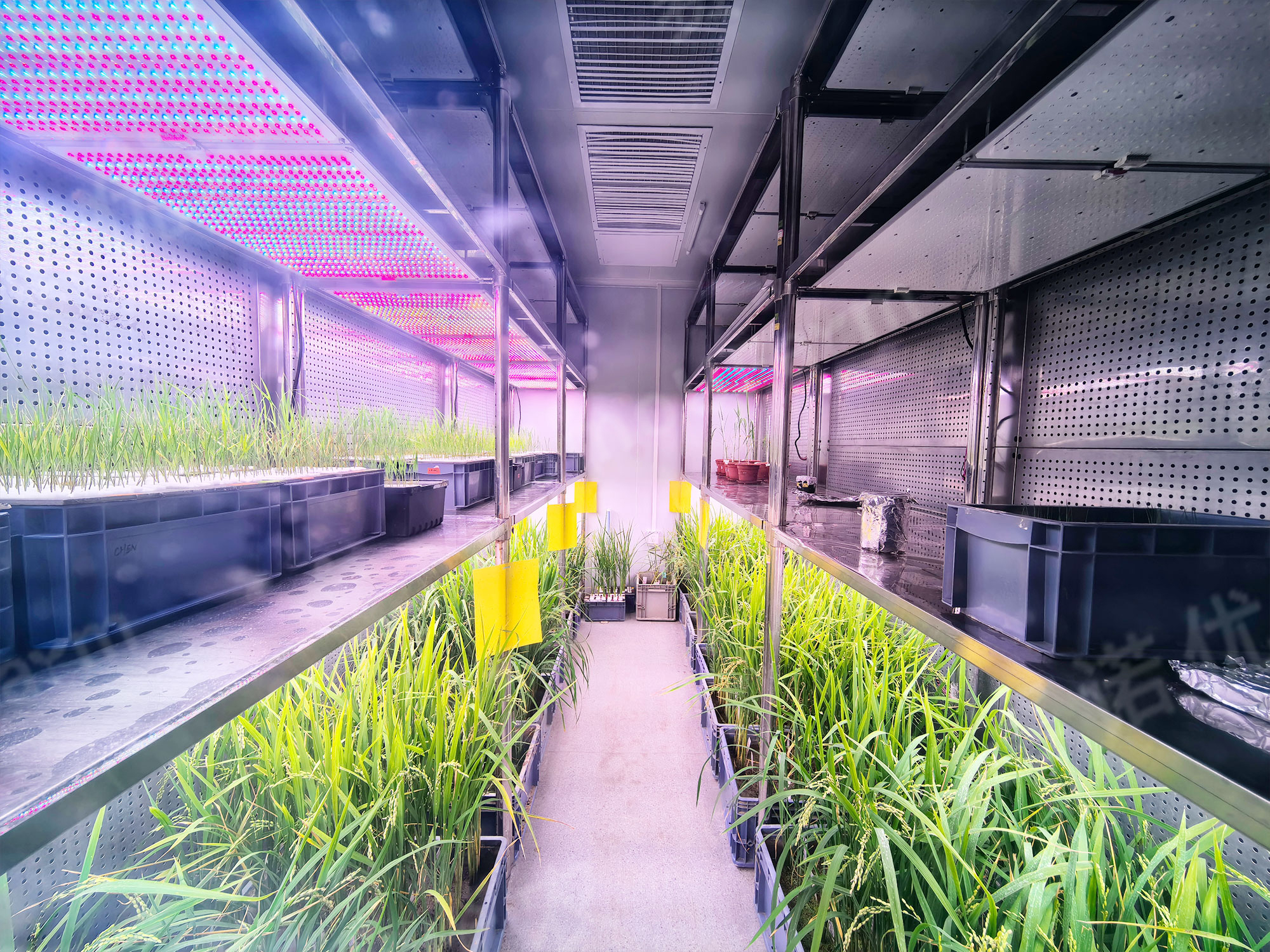 Fujian Agriculture and Forestry University Artificial Climate Chamber