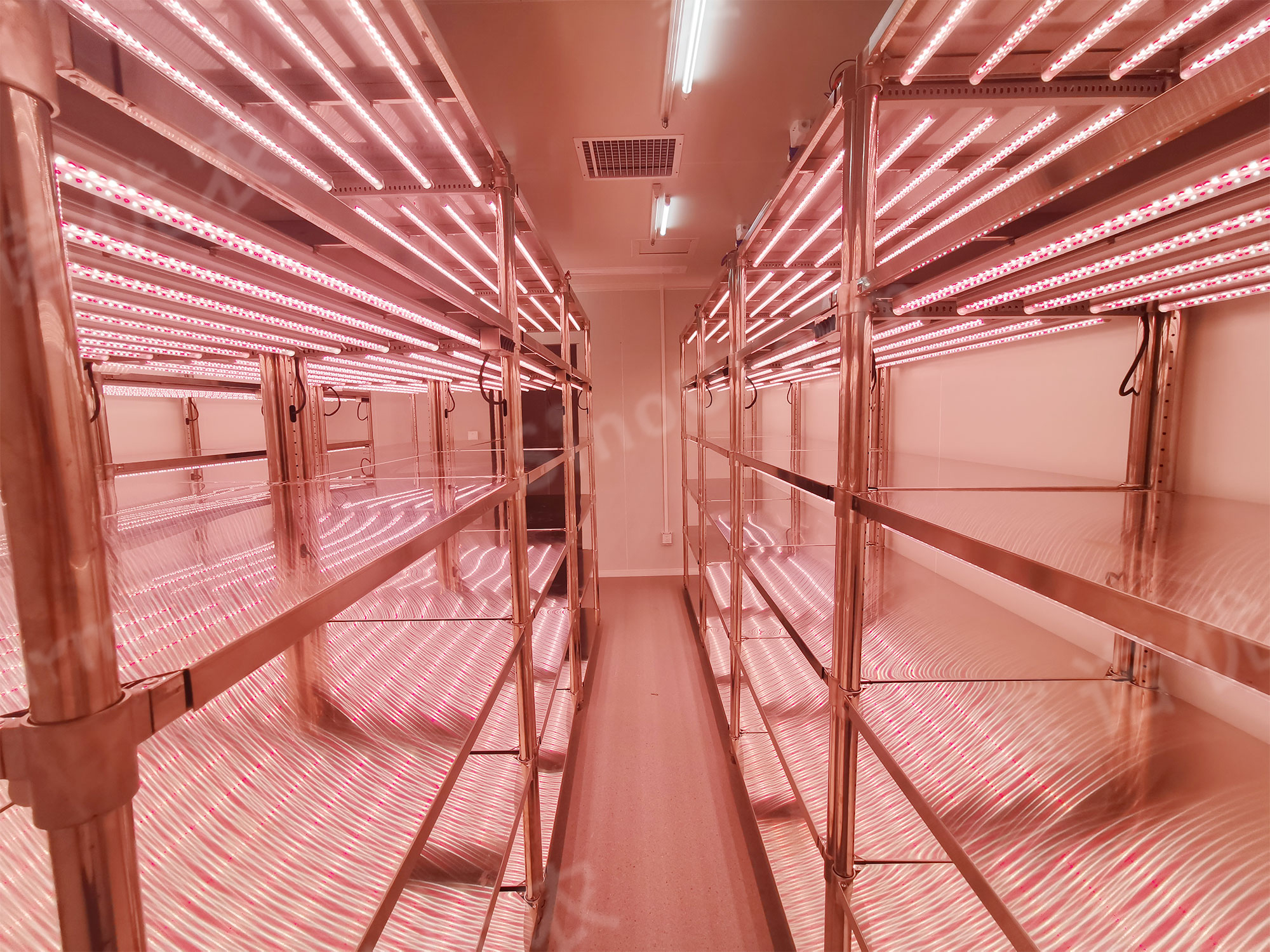 Fujian Agriculture and Forestry University Artificial Climate Chamber