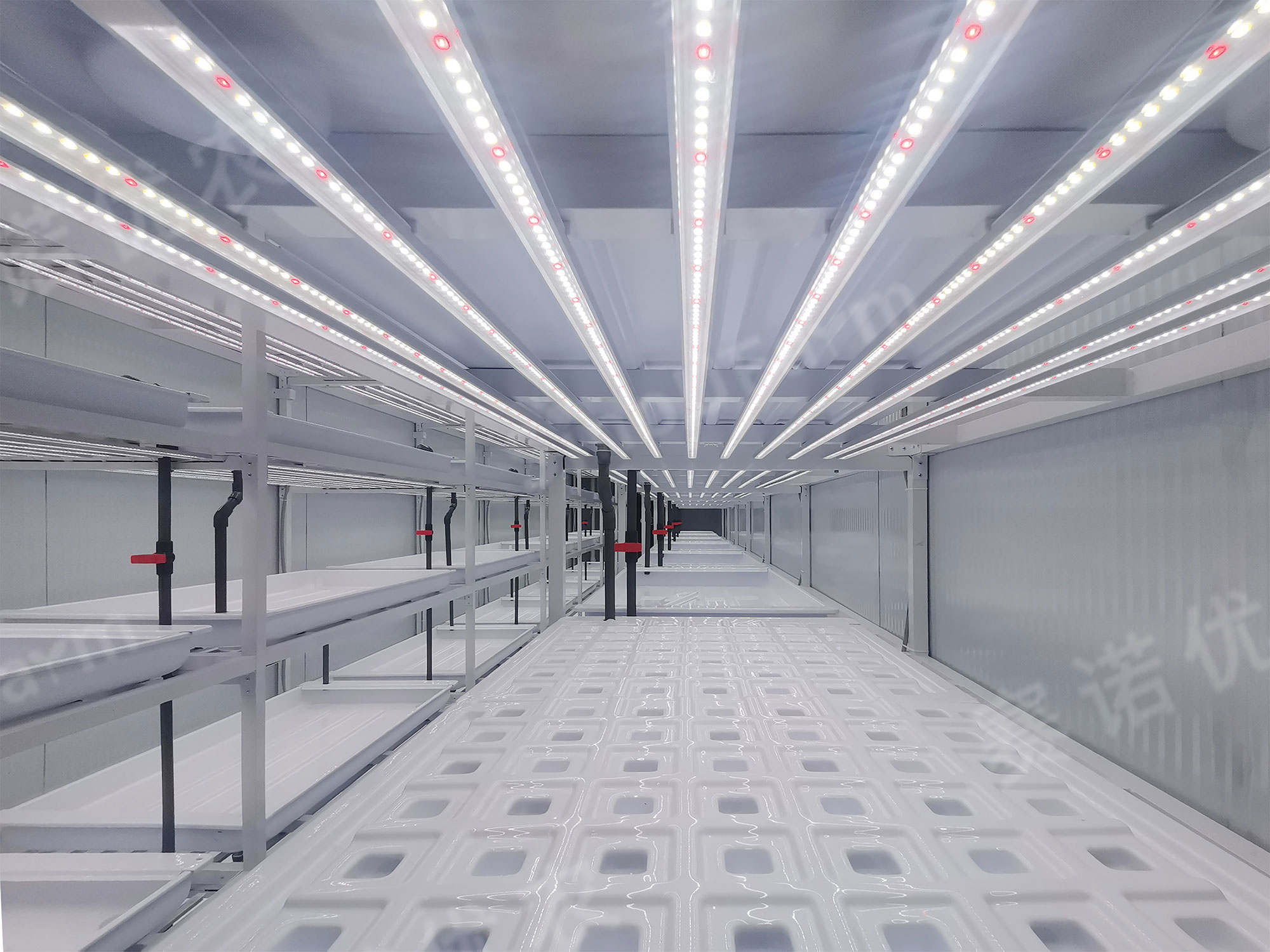 An Extreme Working Condition
Container Plant Factory Project in Tibet