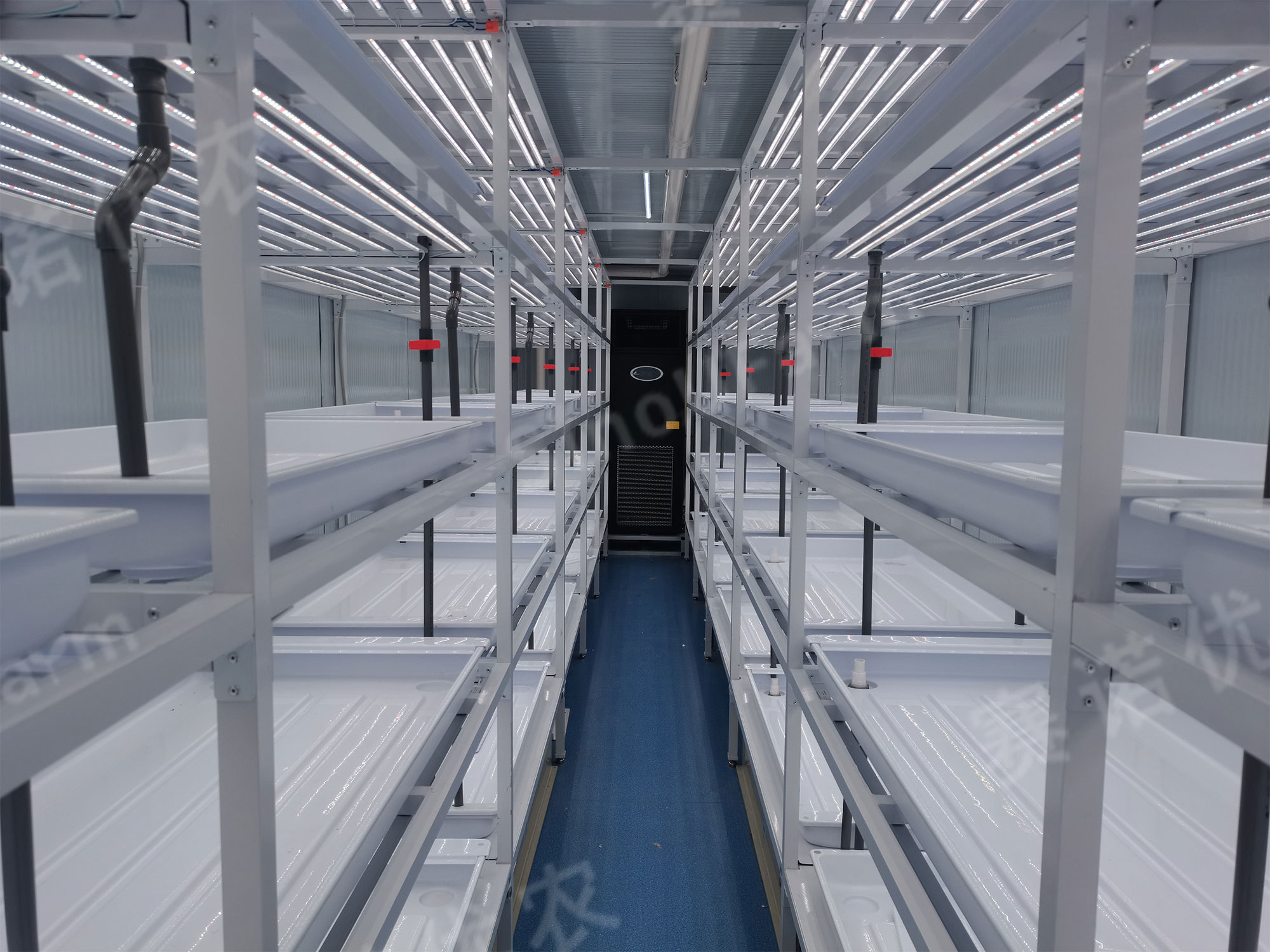An Extreme Working Condition
Container Plant Factory Project in Tibet