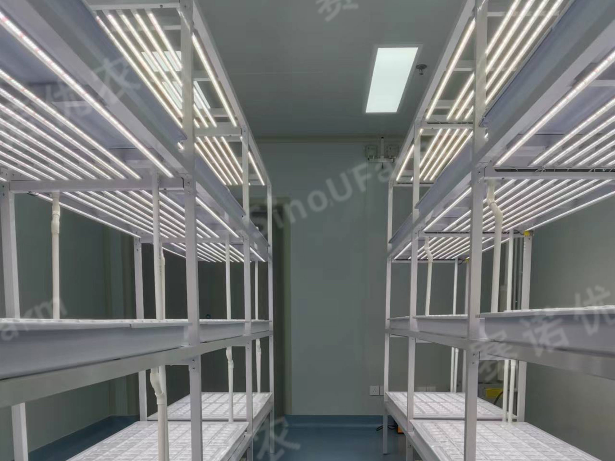 Agricultural Development Group of XinJiang
Tissue Culture Plant Factory