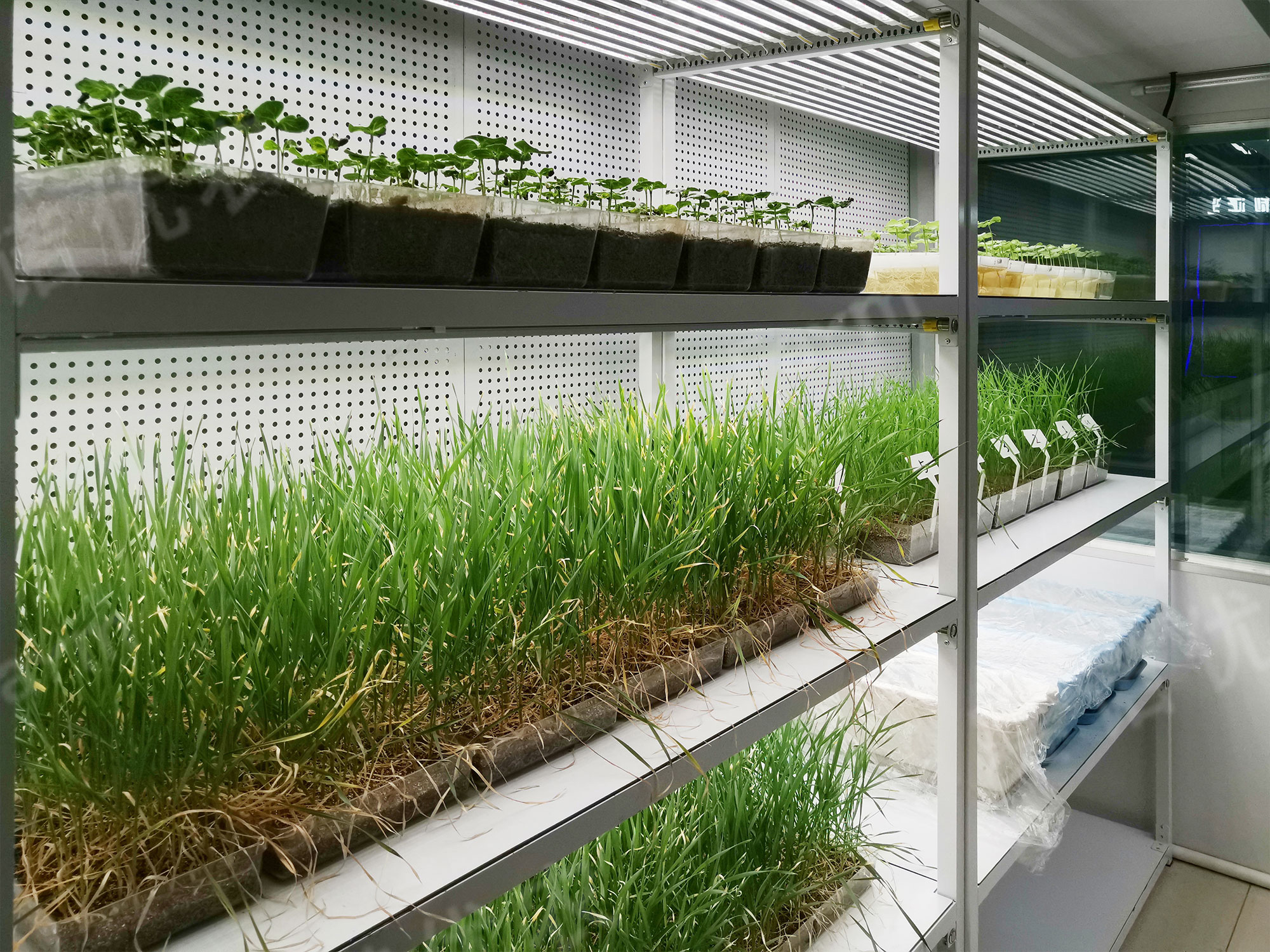Woda Agri-Science  Artificial Climate Chamber