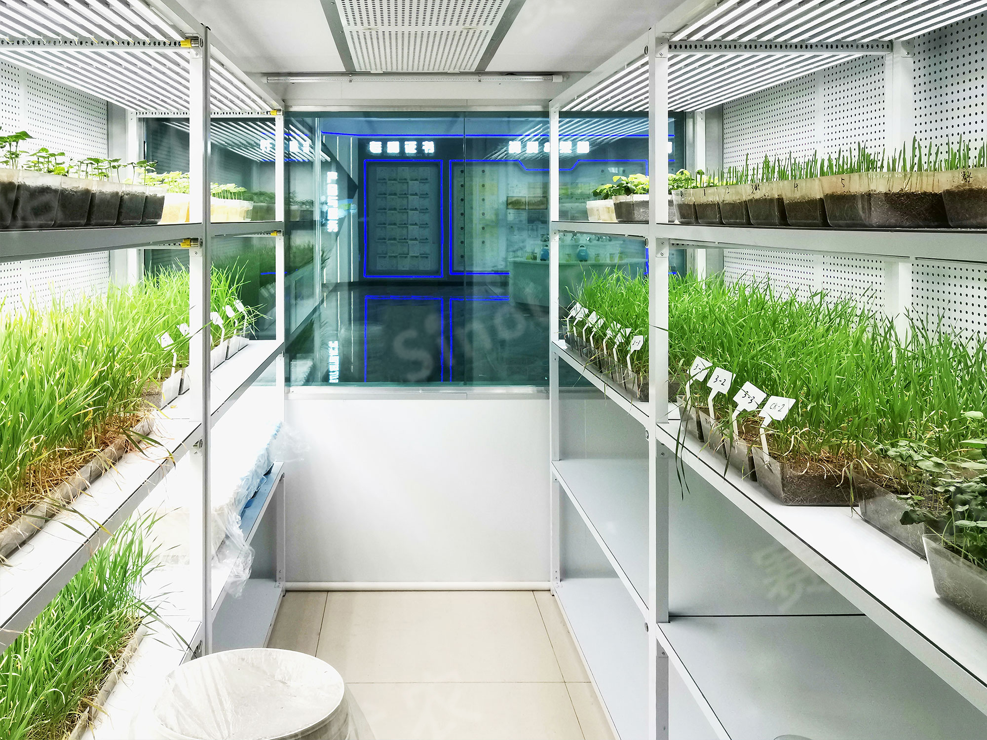 Woda Agri-Science  Artificial Climate Chamber